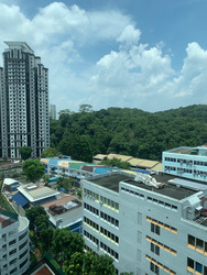 Hillview Regency (D23), Condominium #262581191